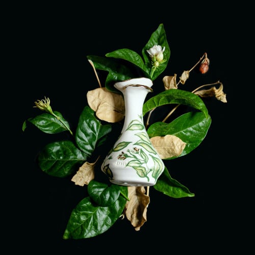 رَوْح  / ROUH  زهرية 1