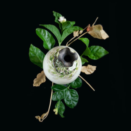 رَوْح  / ROUH  مزهرية