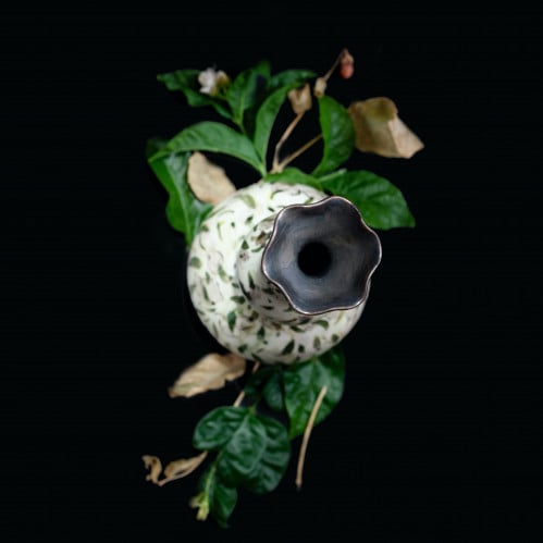 رَوْح  / ROUH  مزهرية