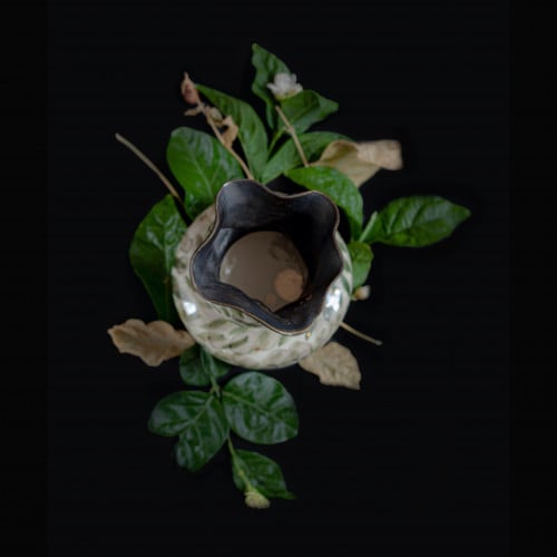 رَوْح  / ROUH  مزهرية