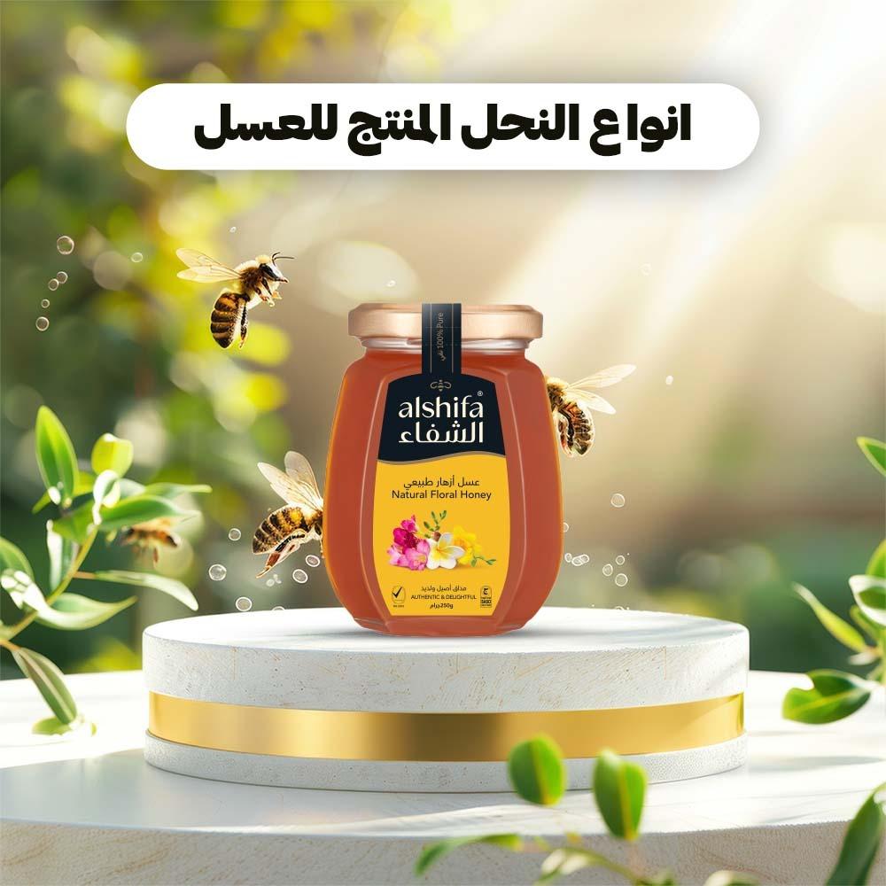 انواع النحل المنتج للعسل انواع النحل المنتج للعسل