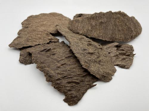 عود جار هندي