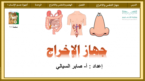 جهاز الإخراج فقط