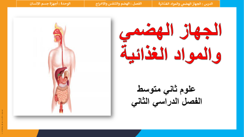 عرض ابداعي بوربوينت الجهاز الهضمي علوم 2م الفصل ال...