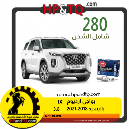 بواجي باليسيد 2019-2021 3.8