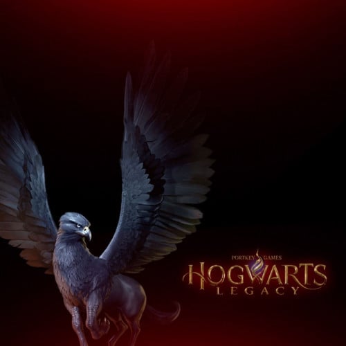 Hogwarts Legacy deluxe edition