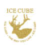 ICE CUBE