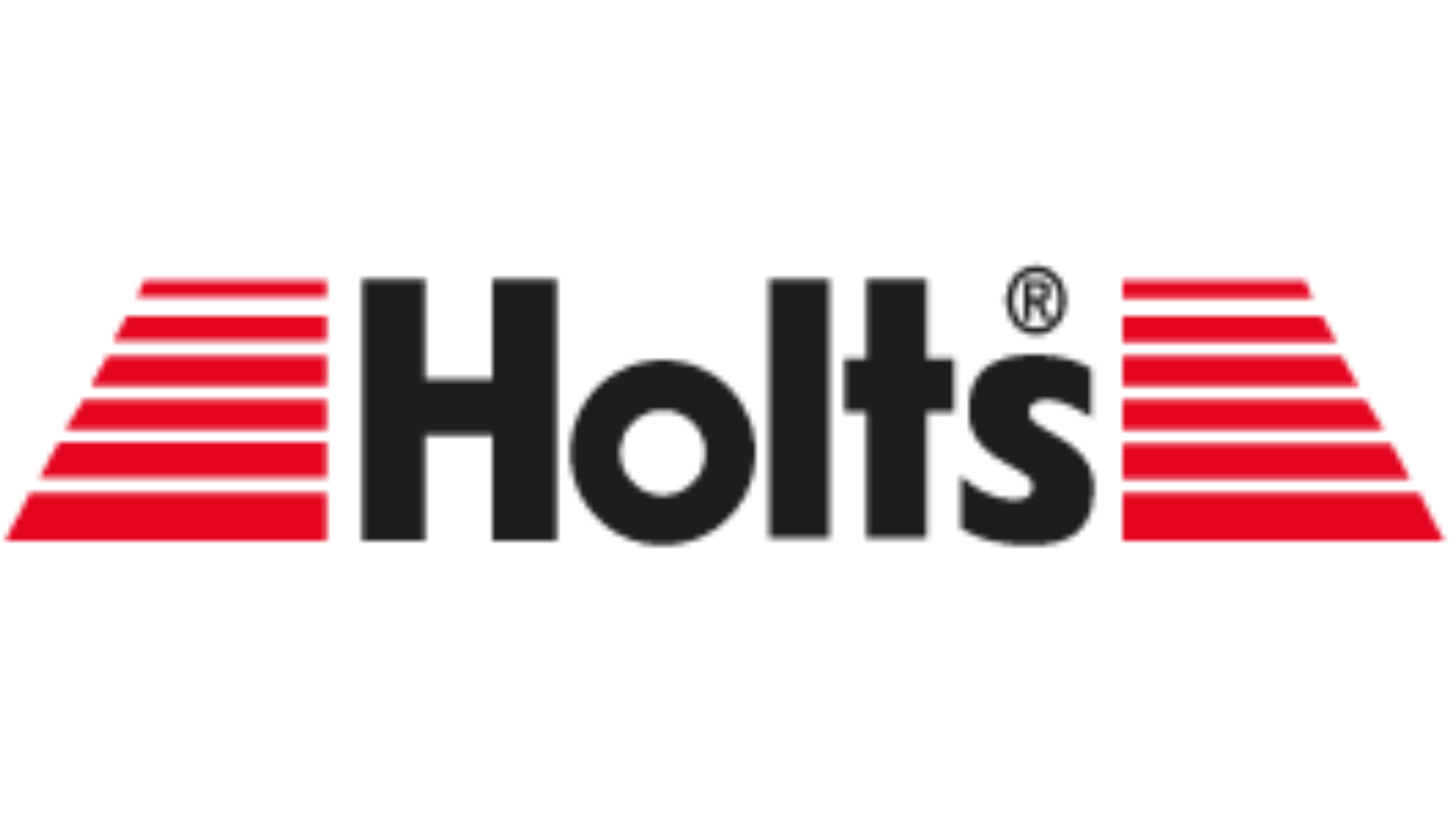 هولتس HOLTS