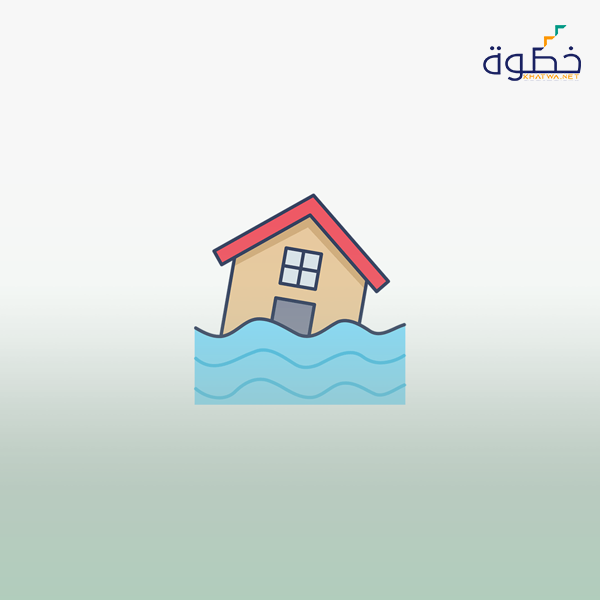 إدارة الكوارث المالية
