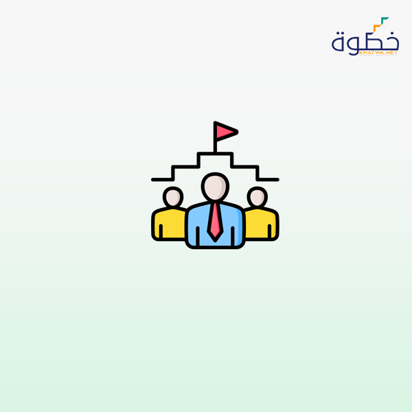 القيادة الاستراتيجية والتنفيذية