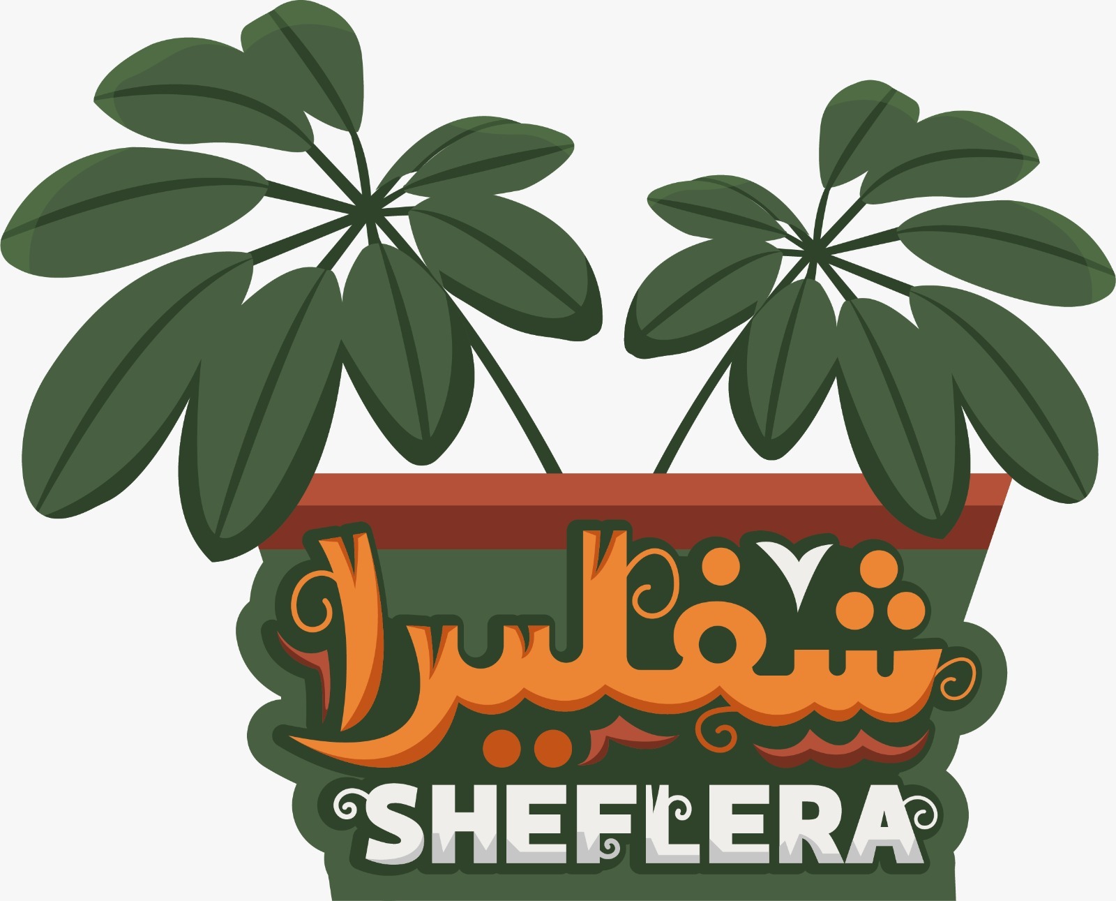 شفليرا | Sheflera