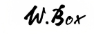 دبليو بوكس
