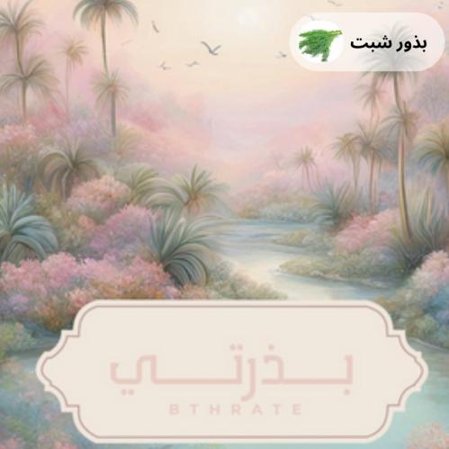 بذور شبت