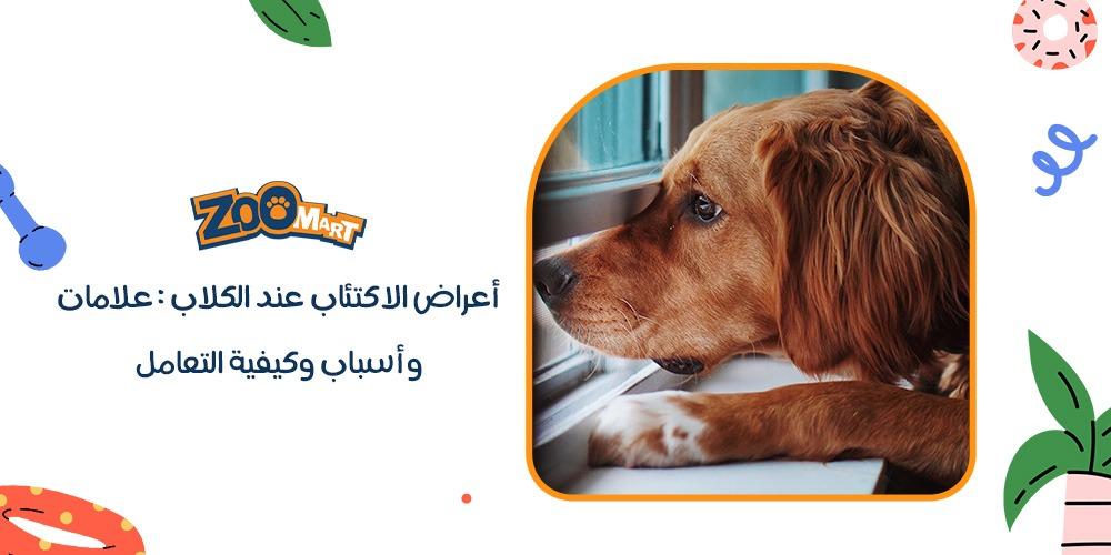 اعراض الاكتئاب عند الكلاب: علامات وأسباب وكيفية التعامل