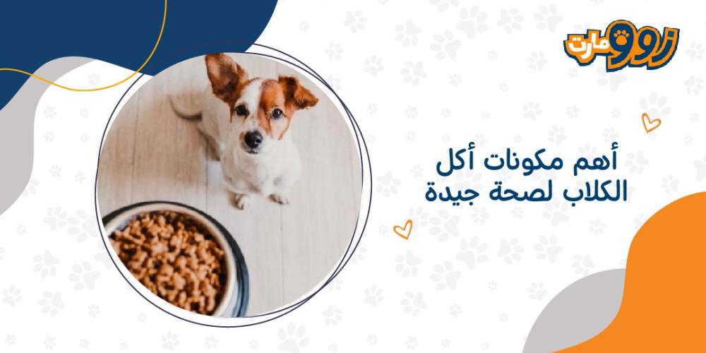 أهم مكونات أكل الكلاب لصحة جيدة