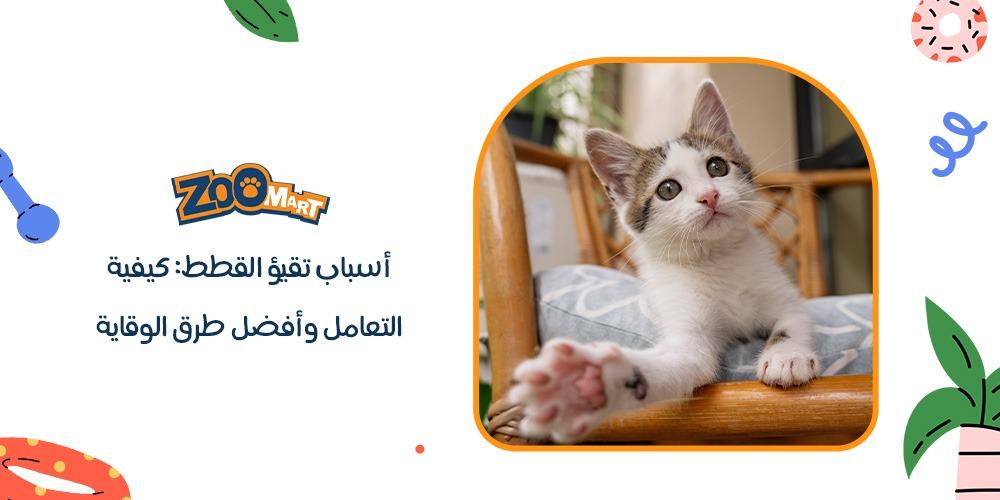 اسباب تقيؤ القطط: كيفية التعامل وأفضل طرق الوقاية