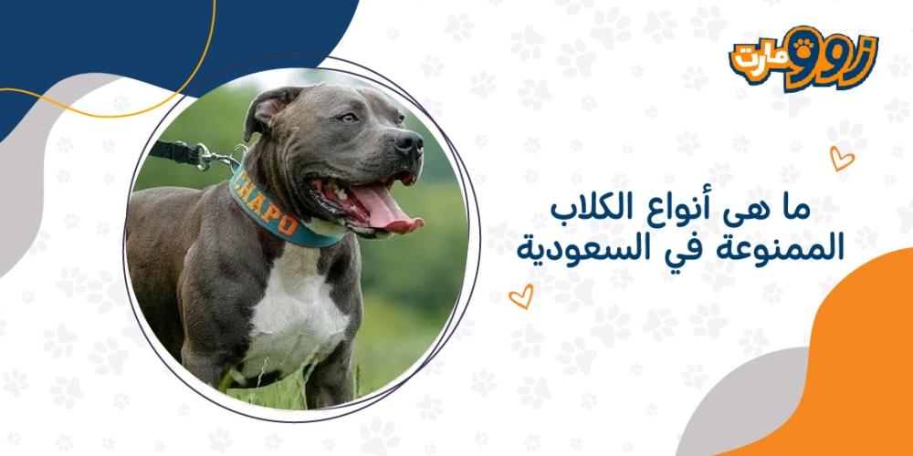 ما هى انواع الكلاب الممنوعه في السعوديه