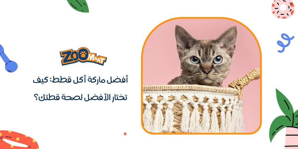 افضل ماركة اكل قطط
