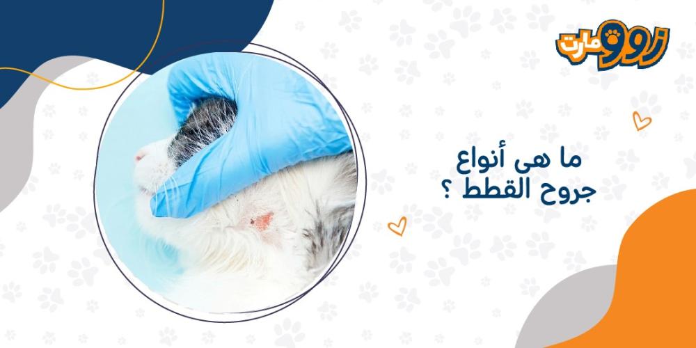 ما هى أنواع جروح القطط ؟