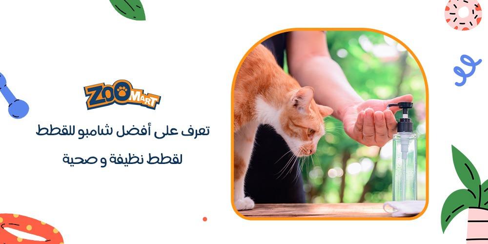 تعرف على افضل شامبو للقطط لقطط نظيفة و صحية