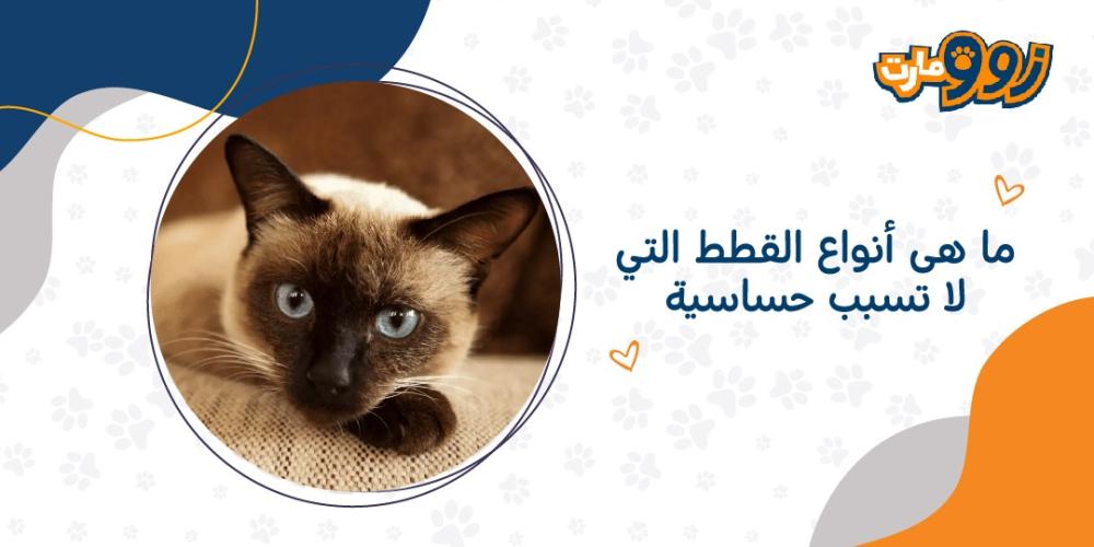 ما هي أنواع القطط التي لا تسبب حساسية؟!