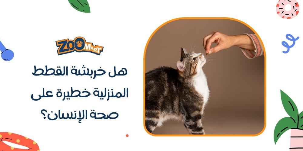 هل خربشة القطط المنزلية خطيرة على صحة الإنسان؟