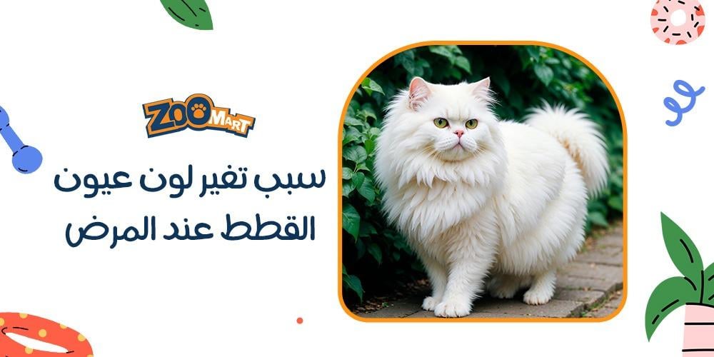 سبب تغير لون عيون القطط عند المرض سبب تغير لون عيون القطط عند المرض