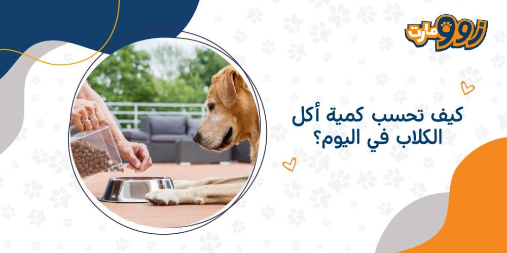 كيف تحسب كمية أكل الكلاب في اليوم؟