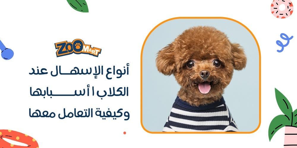 أنواع الإسهال عند الكلاب | أسبابها وكيفية التعامل معها