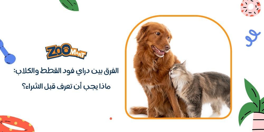 الفرق بين دراي فود القطط والكلاب: ماذا يجب أن تعرف قبل الشراء؟