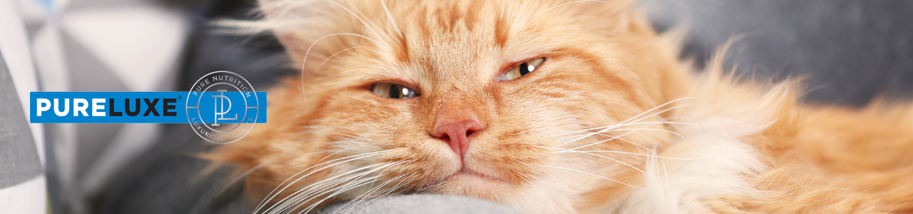 بيورلوكس إيليت