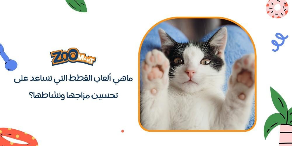 ماهي العاب القطط التي تساعد على تحسين مزاجها ونشاطها؟