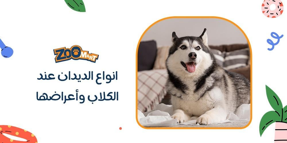 انواع الديدان عند الكلاب وأعراضها