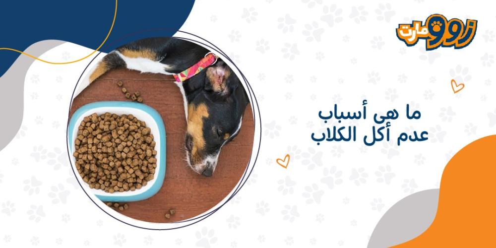 ما هى اسباب عدم اكل الكلاب