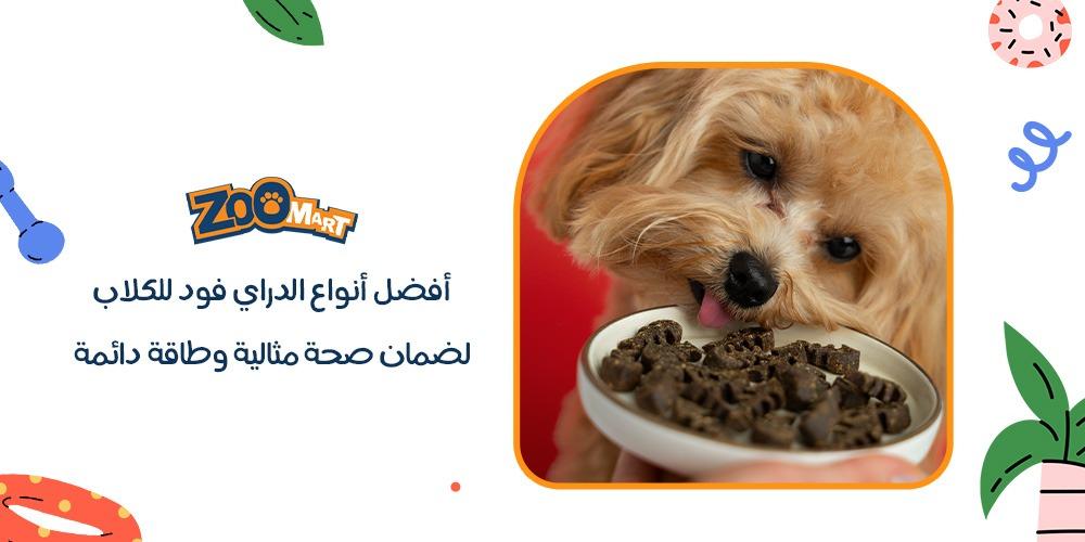 أفضل أنواع الدراي فود للكلاب لضمان صحة مثالية وطاقة دائمة لكلبك