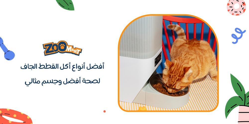 افضل انواع اكل القطط الجاف لصحة أفضل وجسم مثالي