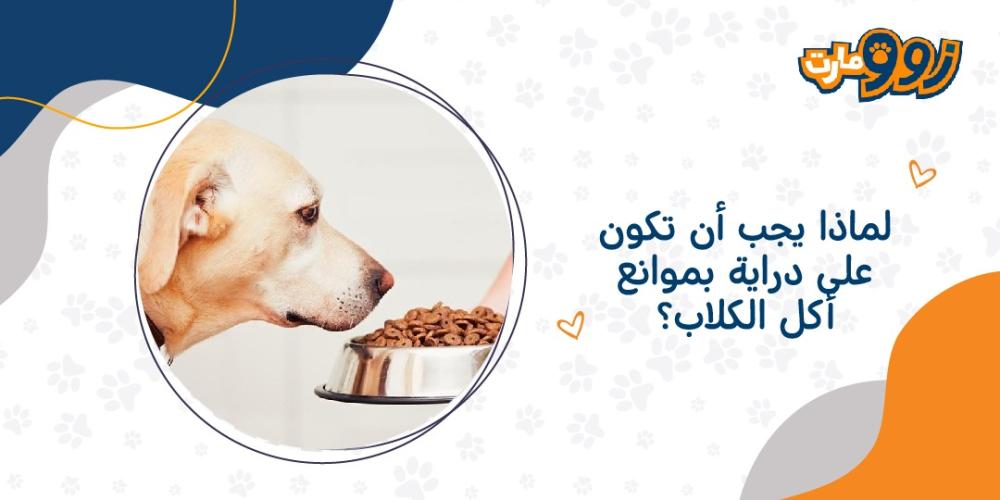 لماذا يجب أن تكون على دراية بموانع أكل الكلاب؟