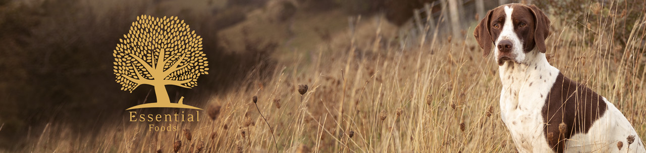 ايسينشال فودز