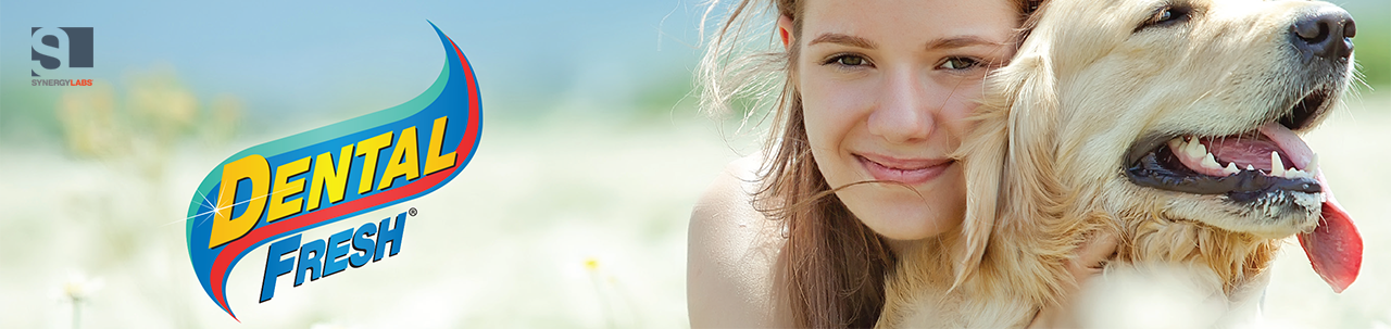 دينتال فريش