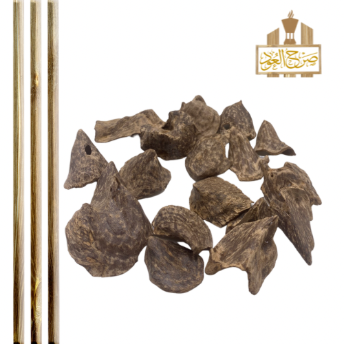 عود سيلاني قواقع