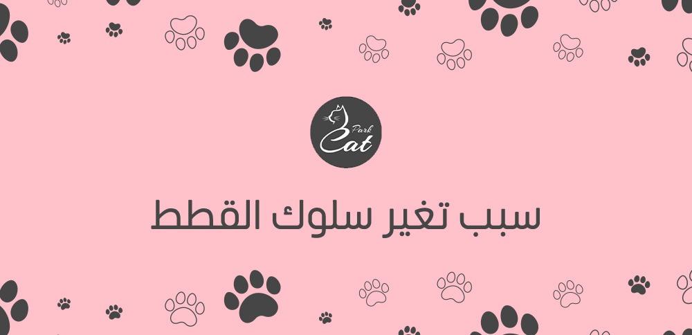 سبب تغير سلوك القطط