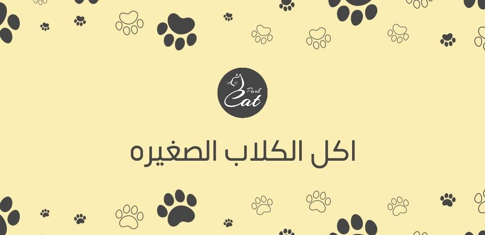 اكل الكلاب الصغيره