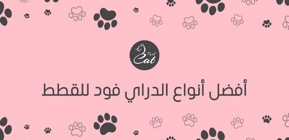 أفضل أنواع الدراي فود للقطط