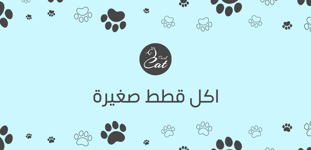 أفضل اكل قطط صغيرة لنمو صحي وطبيعي ؟