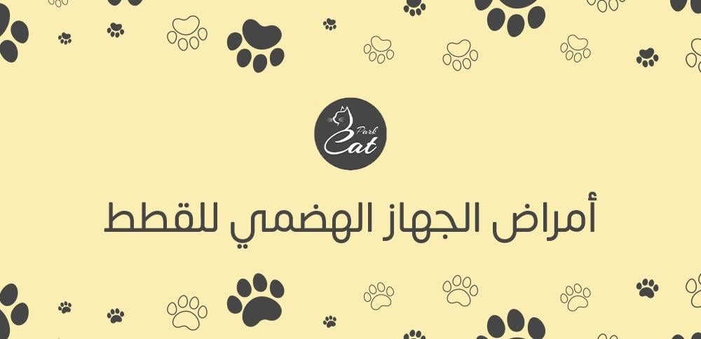 أمراض الجهاز الهضمي للقطط