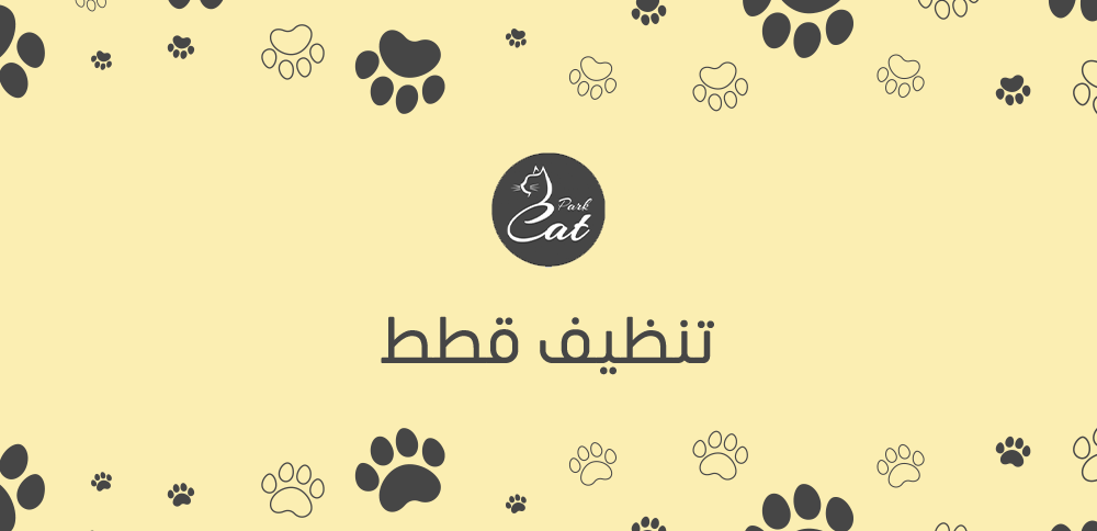 تنظيف قطط