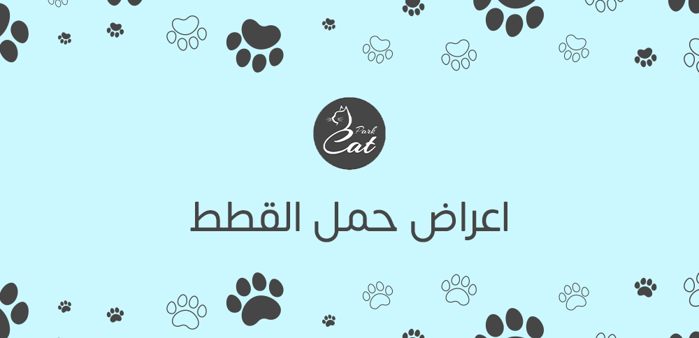 اعراض حمل القطط