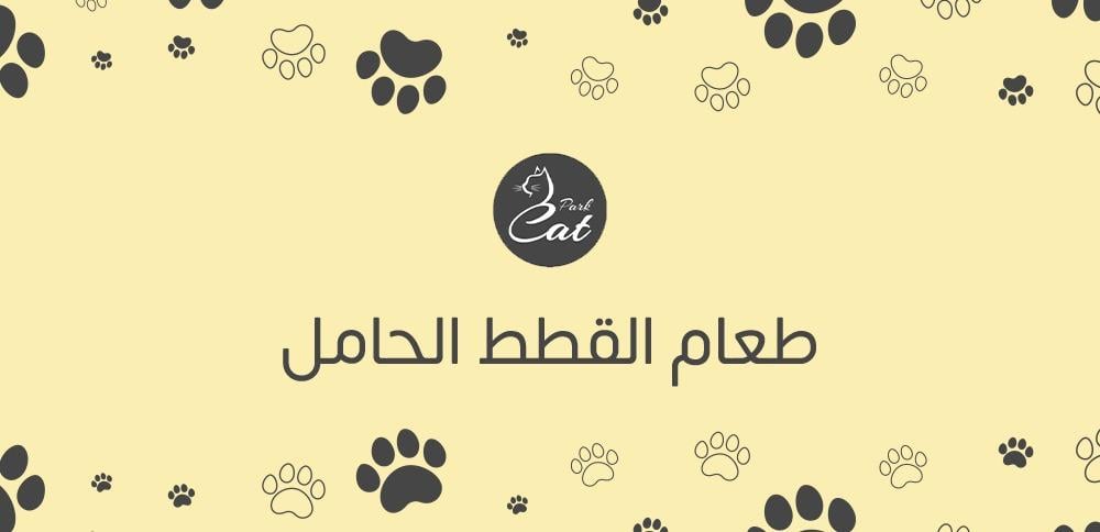 طعام القطط الحامل