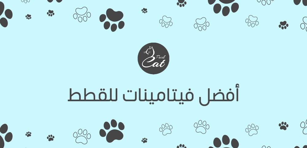 أفضل فيتامينات للقطط