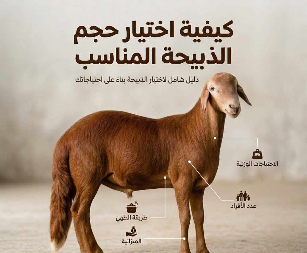كم ذبيحة تكفي لـ 20 أو 30 أو 50 شخصًا؟